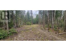 43 Hardwick Cove Road, Northern Bruce Peninsula, ON N0H1W0 Photo 18