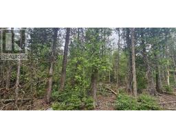 43 Hardwick Cove Road, Northern Bruce Peninsula, ON N0H1W0 Photo 10