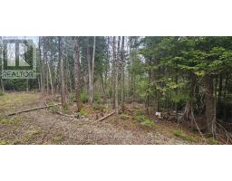 43 Hardwick Cove Road, Northern Bruce Peninsula, ON N0H1W0 Photo 11