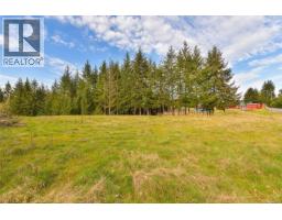 2945 Laverock Rd, Shawnigan Lake, BC V8H2E4 Photo 68