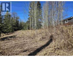 101 5th Avenue, Burns Lake, BC V0J1E0 Photo 7