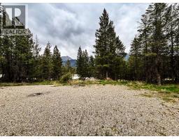 Lot A Columbia Lake Road, Fairmont Hot Springs, BC V0B1L2 Photo 13