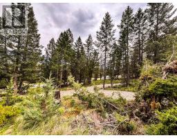 Lot A Columbia Lake Road, Fairmont Hot Springs, BC V0B1L2 Photo 16