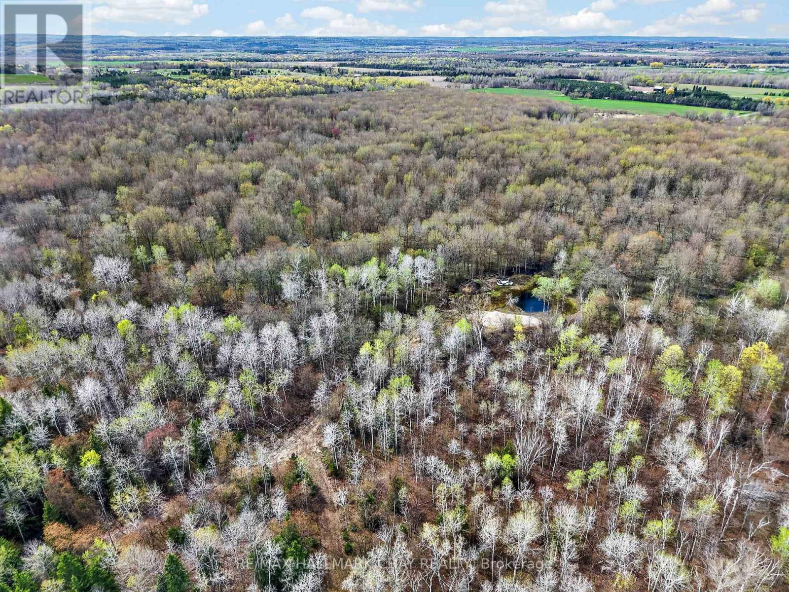 3409 CONCESSION 7 ROAD - 45