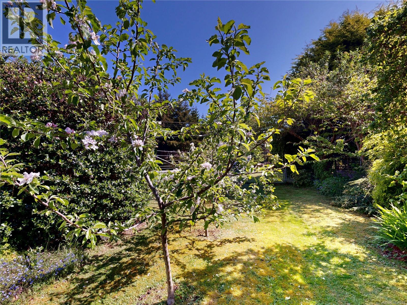 1588 Whiffin Spit Rd - 45