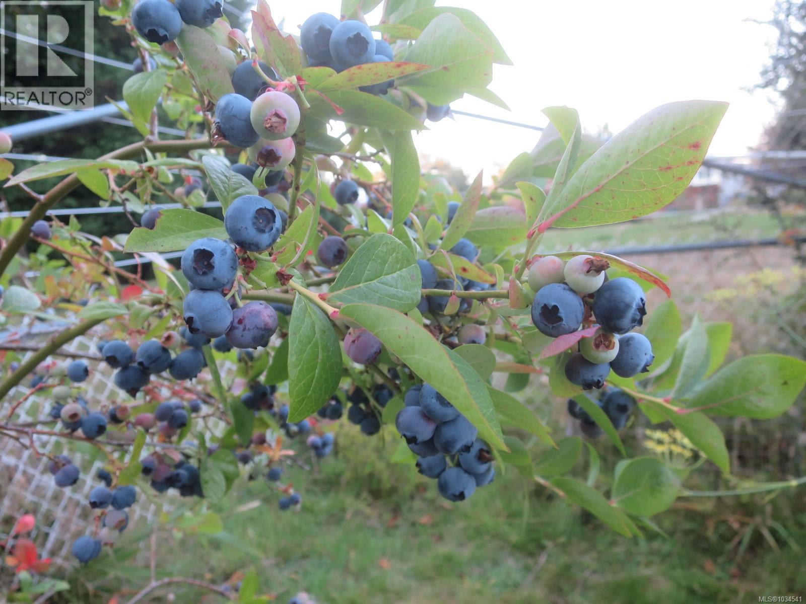 1588 Whiffin Spit Rd - 7