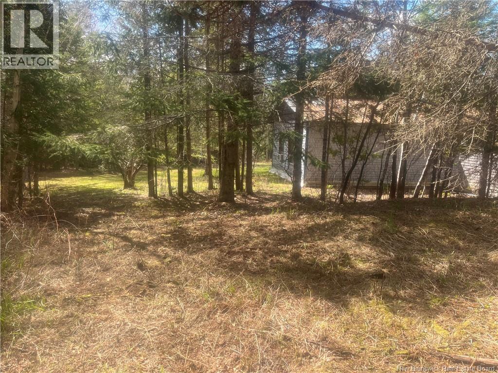 154 Scotch Lake Road - 50