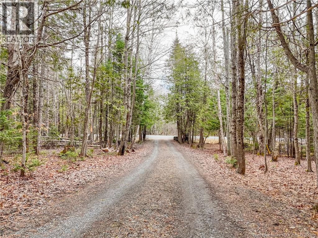 154 Scotch Lake Road - 36