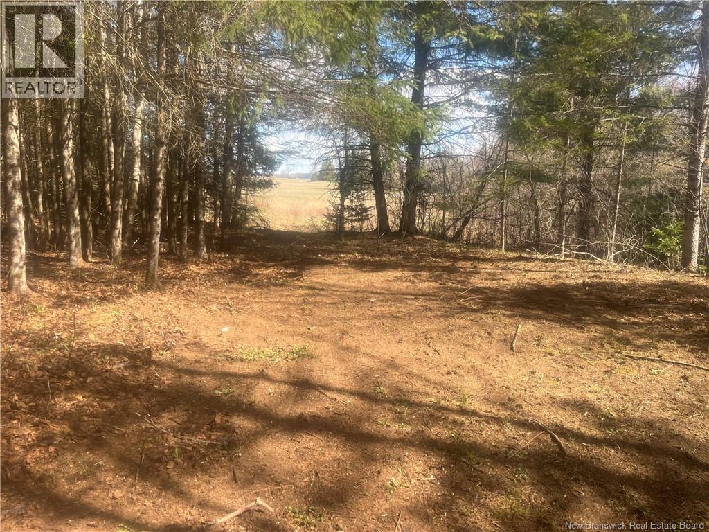 154 Scotch Lake Road - 28