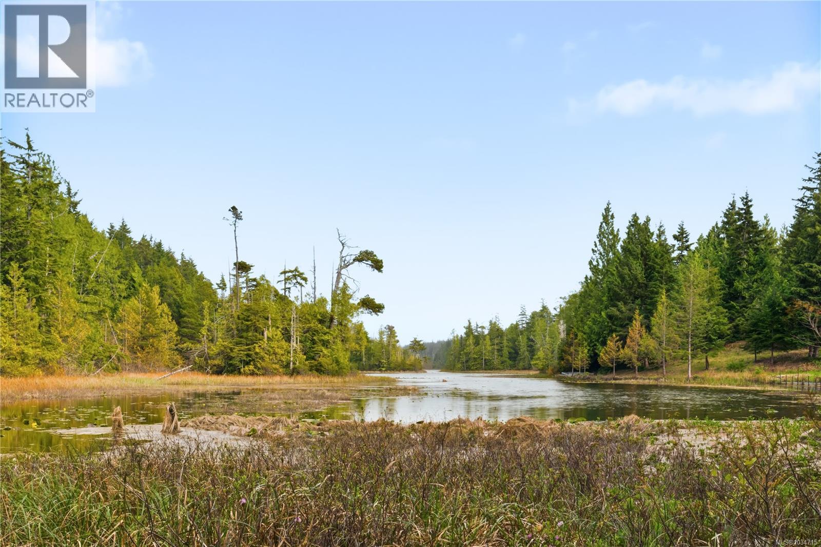 1420 Smithdale Rd - 10