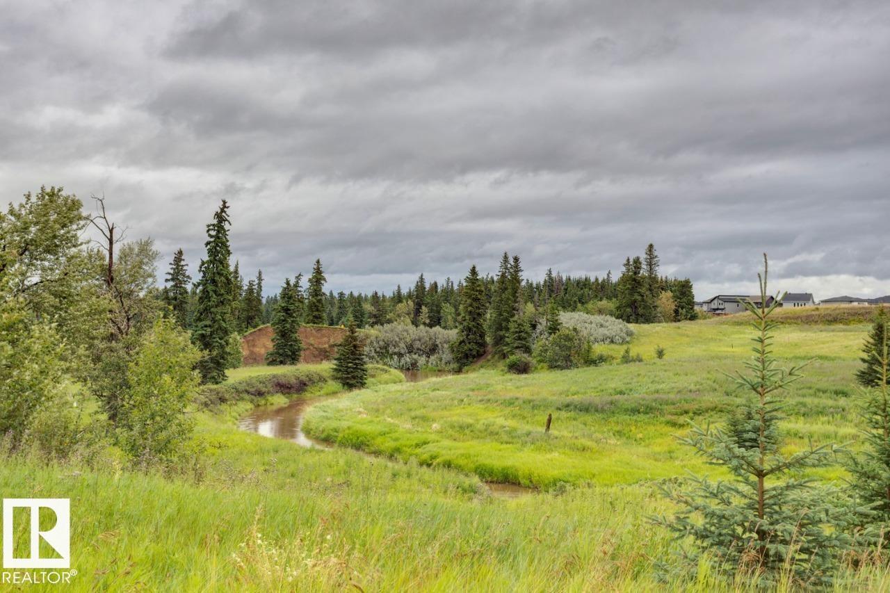 #308 1623 JAMES MOWATT TR SW, Edmonton