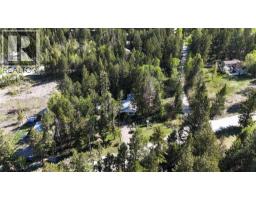 1278 Galena School Road, Spillimacheen, BC V0A1P0 Photo 25