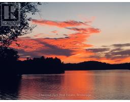 8 - 1140 Cowan Park Road, Muskoka Lakes, ON P0B1M0 Photo 33