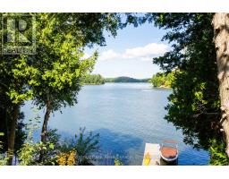 8 - 1140 Cowan Park Road, Muskoka Lakes, ON P0B1M0 Photo 9