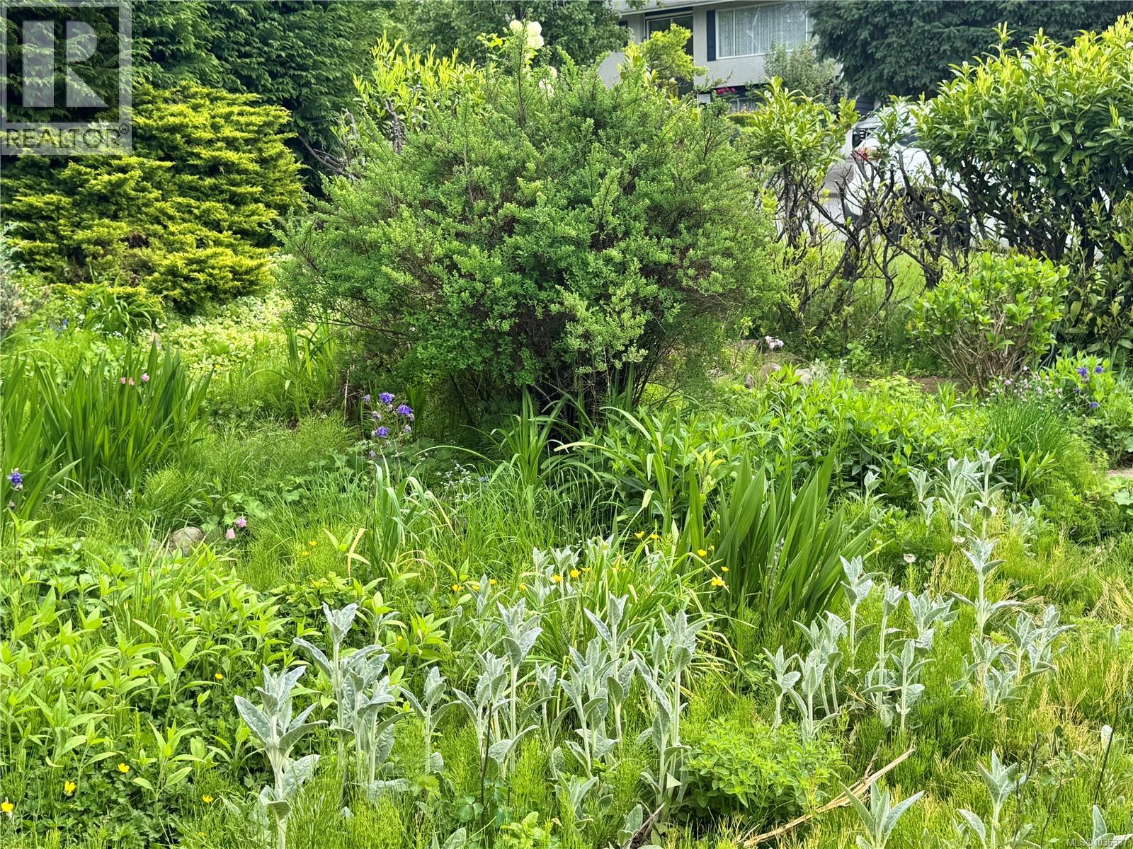 780 Westmere Rd - 14
