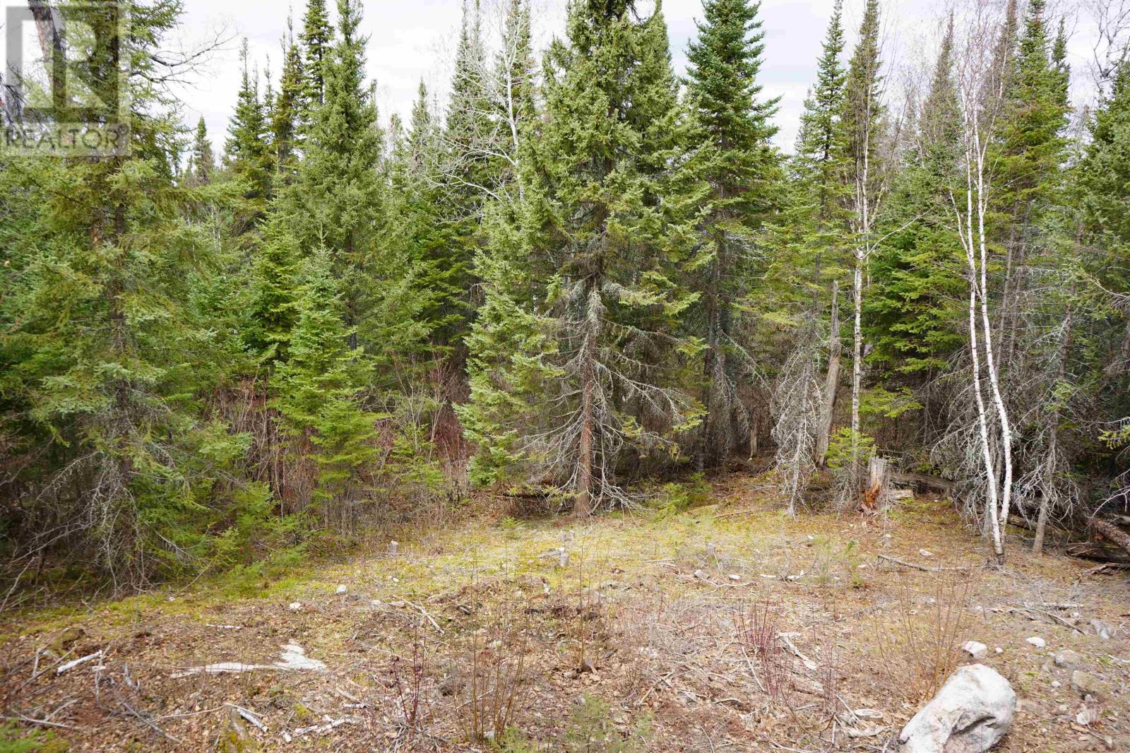 1 Gunn Lake RD, Minaki, Ontario, P0X1J0 — Photo 34