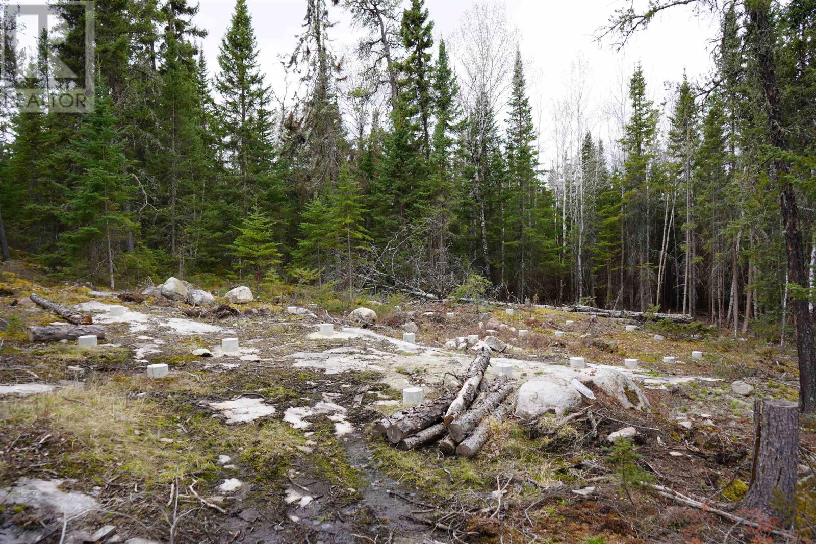 1 Gunn Lake RD, Minaki, Ontario, P0X1J0 — Photo 36