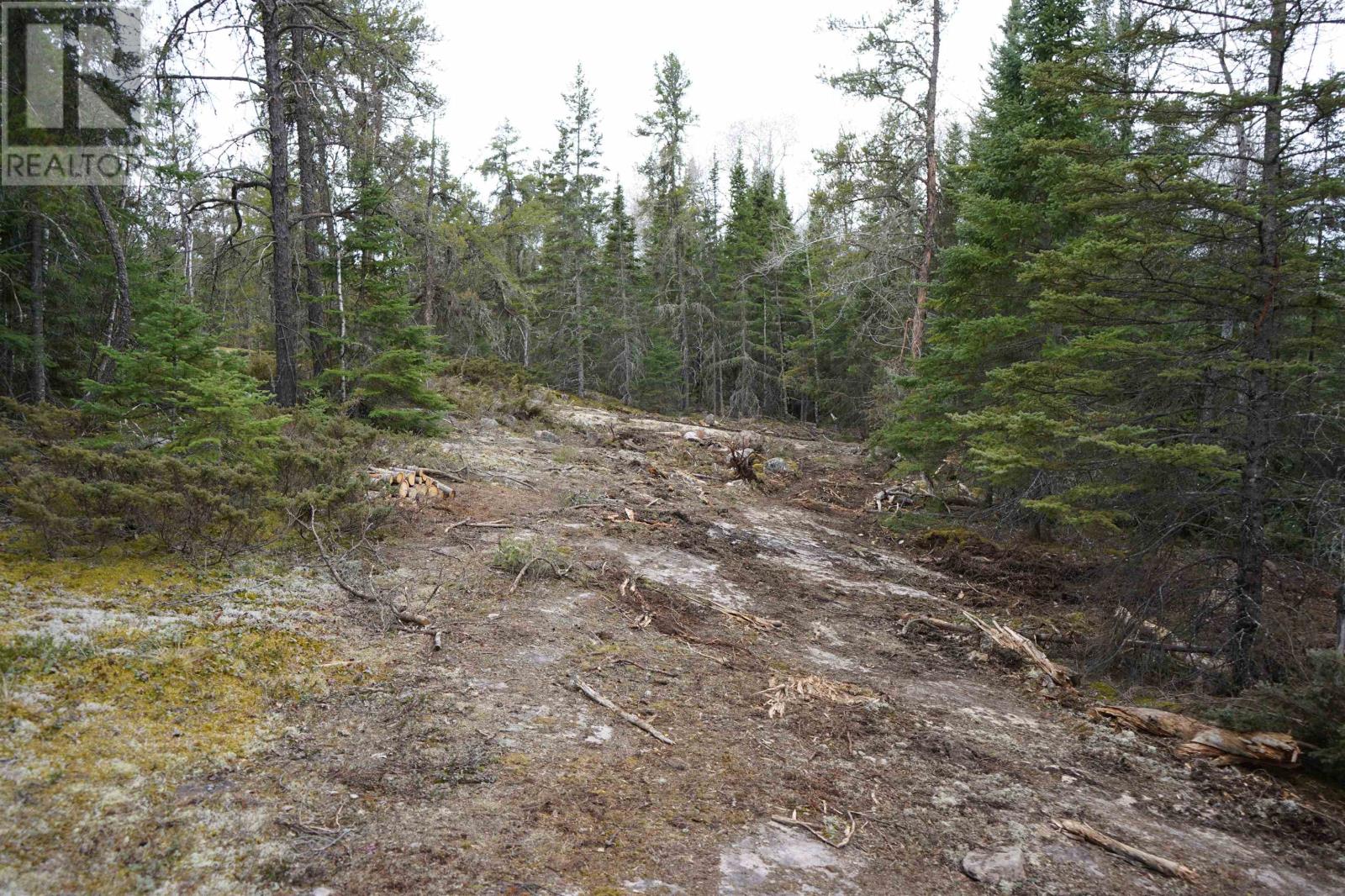 1 Gunn Lake RD, Minaki, Ontario, P0X1J0 — Photo 39