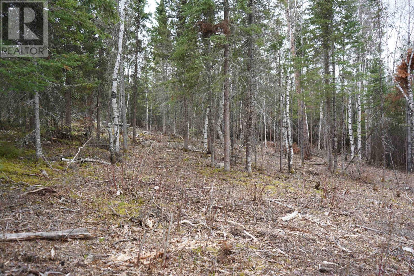 1 Gunn Lake RD, Minaki, Ontario, P0X1J0 — Photo 21