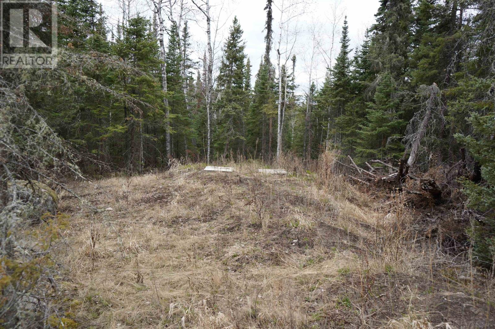 1 Gunn Lake RD, Minaki, Ontario, P0X1J0 — Photo 29
