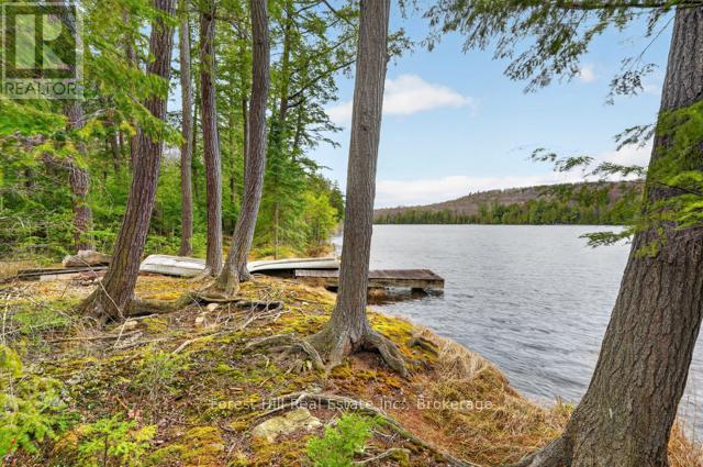 4698 MUSKOKA RD 117 HIGHWAY - 35