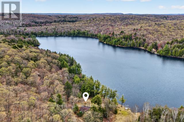 4698 MUSKOKA RD 117 HIGHWAY - 46