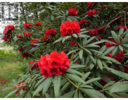 Living room - Proposed Lot 2/9333 Invermuir Rd, Sooke, BC V9Z1G3 Photo 6
