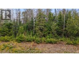 0 Siberia Road, Madawaska Valley, ON K0J1B0 Photo 6