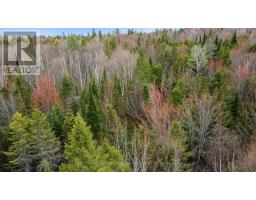 0 Siberia Road, Madawaska Valley, ON K0J1B0 Photo 8