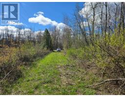 9152 Old Homestead Road, Georgina, ON L4P4E9 Photo 8