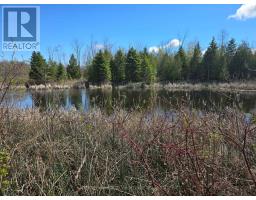 9152 Old Homestead Road, Georgina, ON L4P4E9 Photo 9