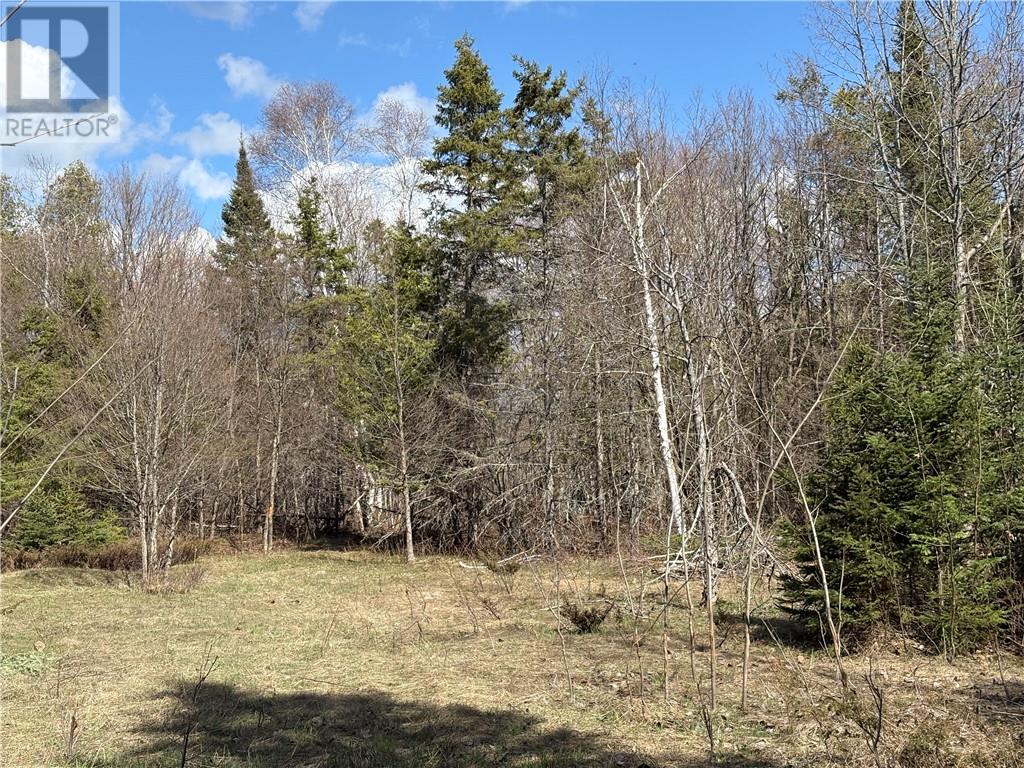 00 PINE LAKE ROAD, Manitoulin Island, Ontario, P0P1N0 — Photo 16