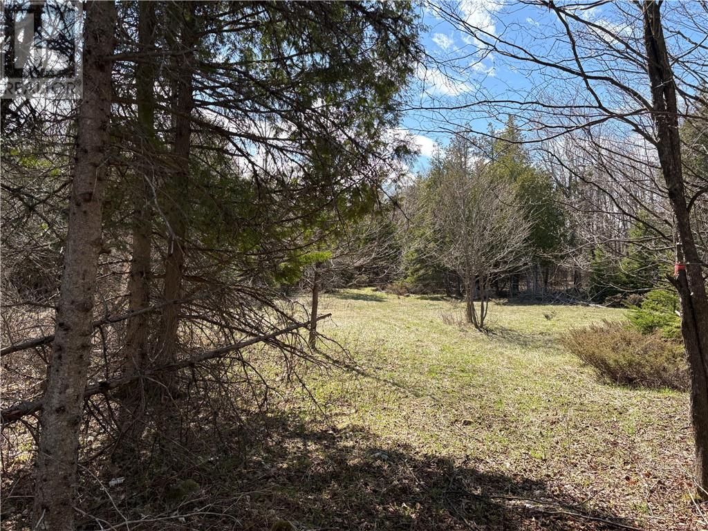 00 PINE LAKE ROAD, Manitoulin Island, Ontario, P0P1N0 — Photo 12