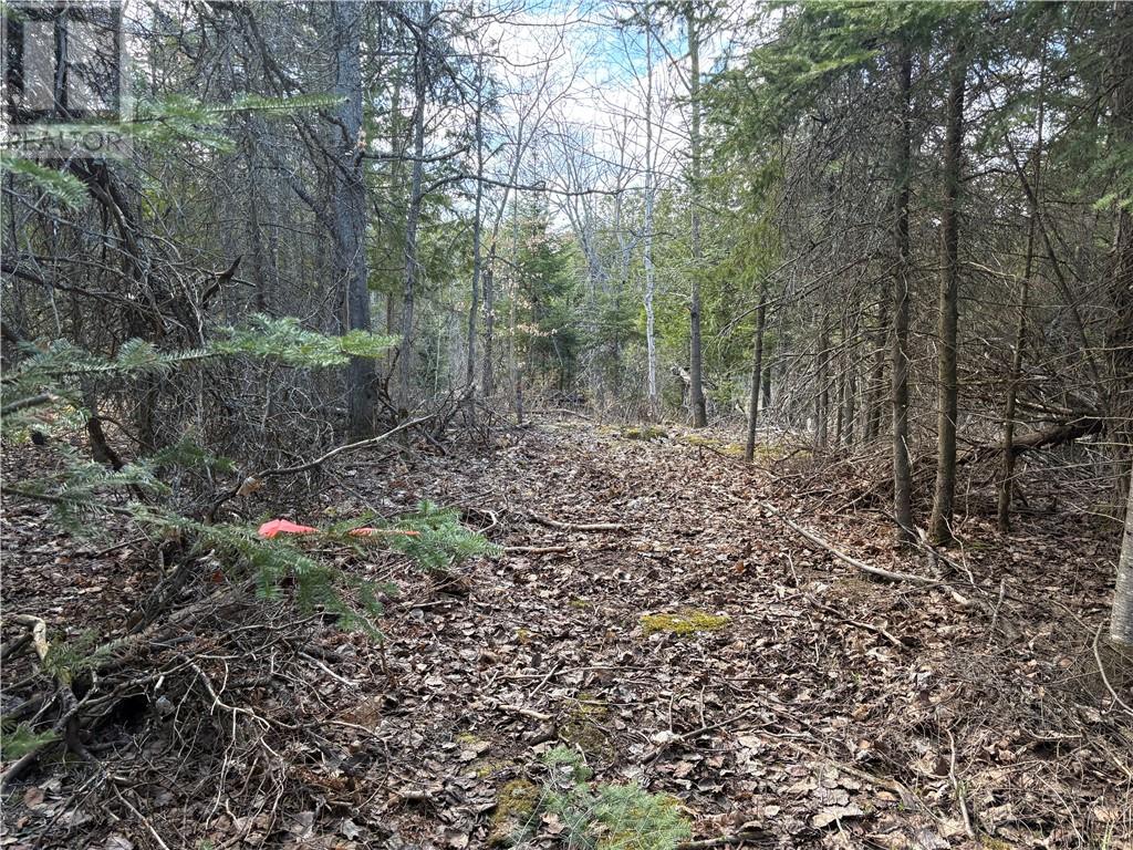00 PINE LAKE ROAD, Manitoulin Island, Ontario, P0P1N0 — Photo 5