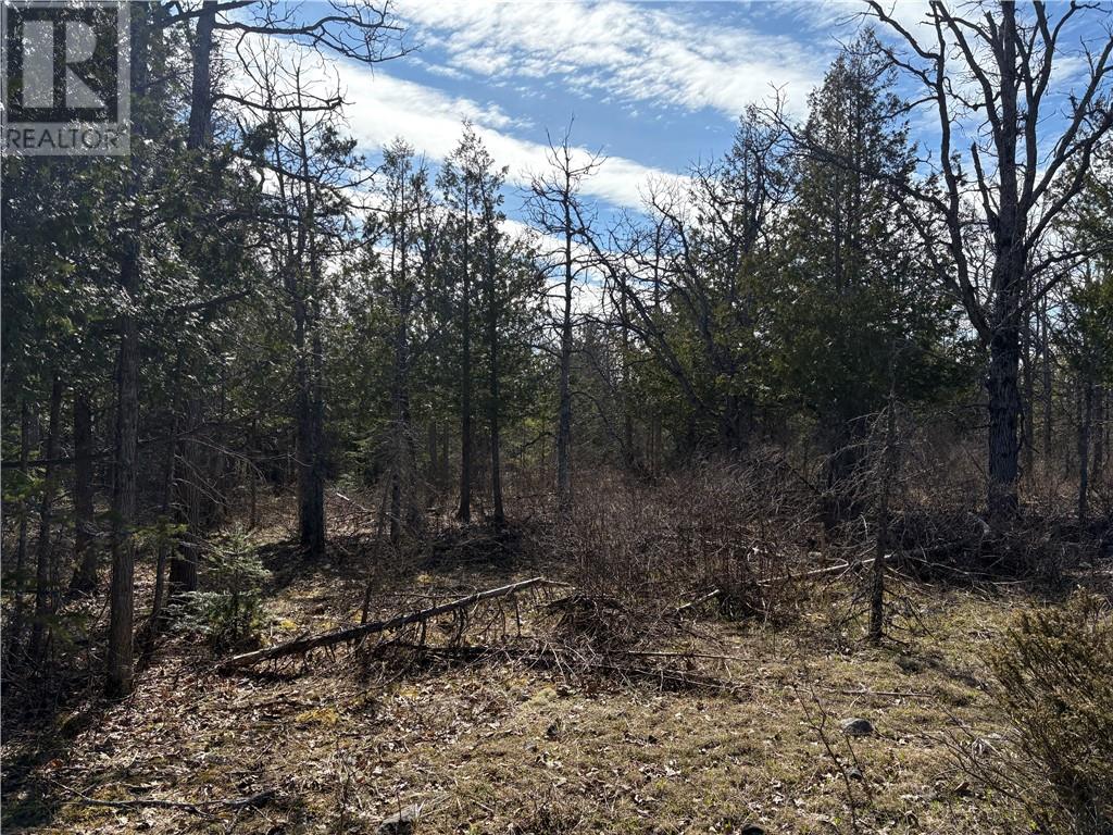 00 PINE LAKE ROAD, Manitoulin Island, Ontario, P0P1N0 — Photo 13