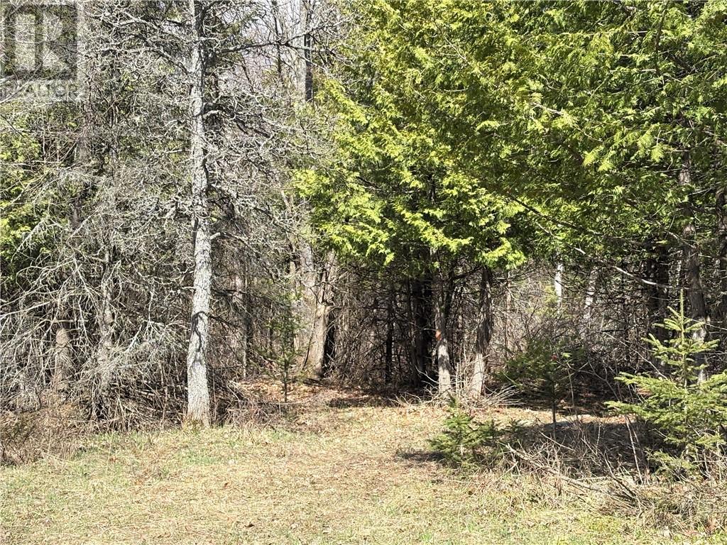 00 PINE LAKE ROAD, Manitoulin Island, Ontario, P0P1N0 — Photo 7