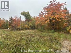 72 Old Harvey Road, McAdam — photo 2