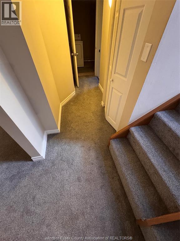1527 Pierre, Windsor, Ontario, N8X4P6 — Photo 15