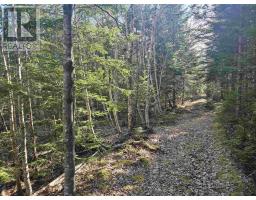 V/l 368 Highway, Wentworth, NS B0M1Z0 Photo 15