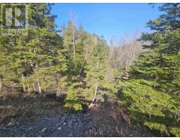 V/l 368 Highway, Wentworth, NS B0M1Z0 Photo 8