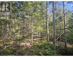 V/l 368 Highway, Wentworth, NS B0M1Z0 Photo 11