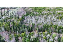 V/l 368 Highway, Wentworth, NS B0M1Z0 Photo 13
