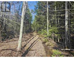 V/l 368 Highway, Wentworth, NS B0M1Z0 Photo 9