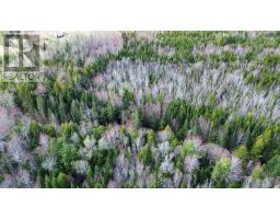 V/l 368 Highway, Wentworth, NS B0M1Z0 Photo 10