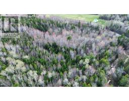 V/l 368 Highway, Wentworth, NS B0M1Z0 Photo 14