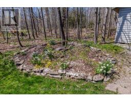 126 Alexandria Street, Georgian Bluffs, ON N4K0G2 Photo 28