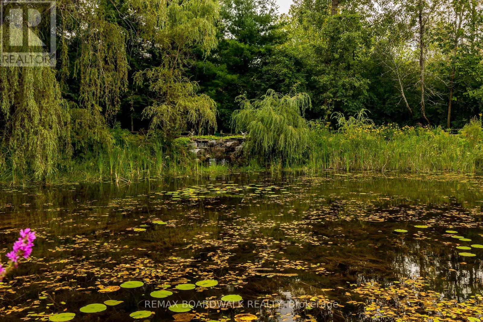 875 CORKTOWN ROAD - 42