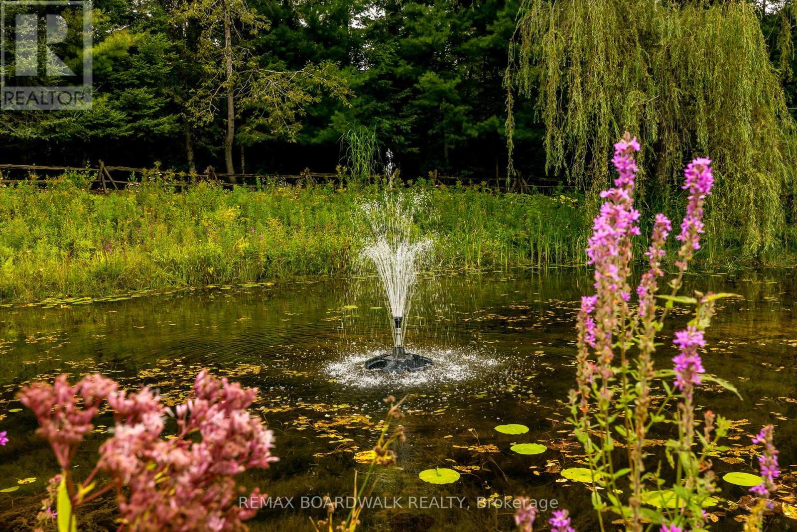 875 CORKTOWN ROAD - 43