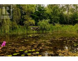 875 Corktown Road, Merrickville Wolford, ON K0G1N0 Photo 42