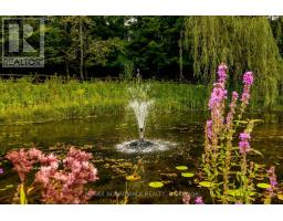 875 Corktown Road, Merrickville Wolford, ON K0G1N0 Photo 43